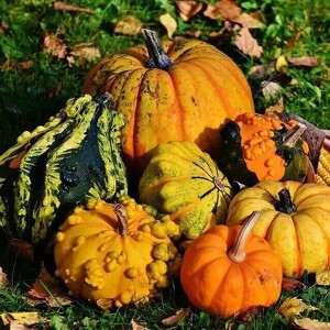 Let the Gourd Times Roll!